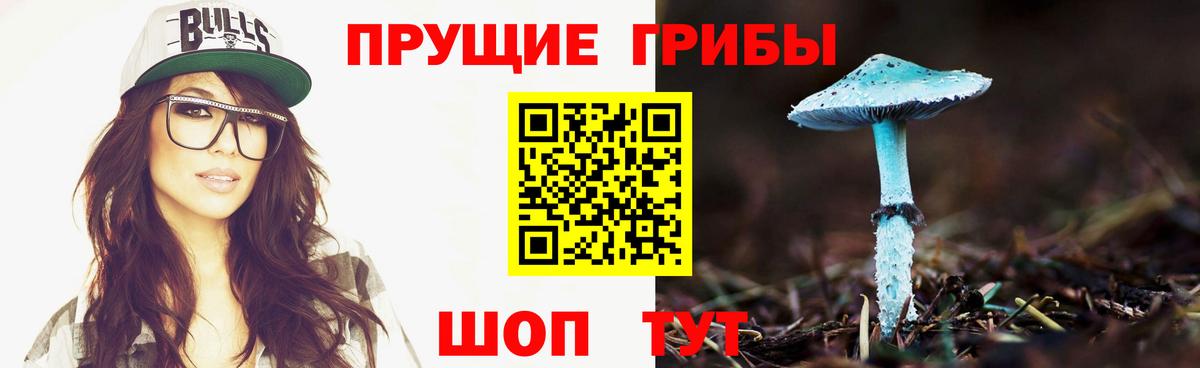 Псилоцибиновые грибы Cubensis Отрадное